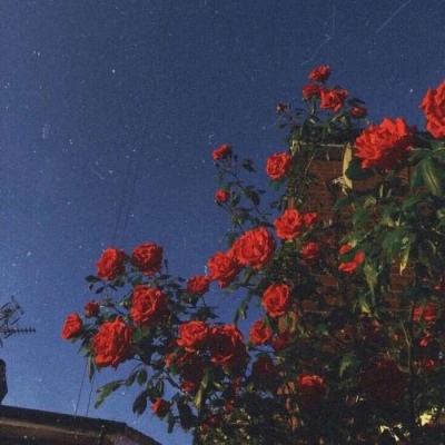 合乐888下载手机版